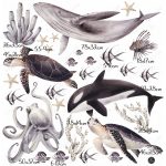 Víz alatti világ falmatrica nagy méretű falmatrica