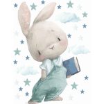 Könyves nyuszi csillagokkal, felhőkkel